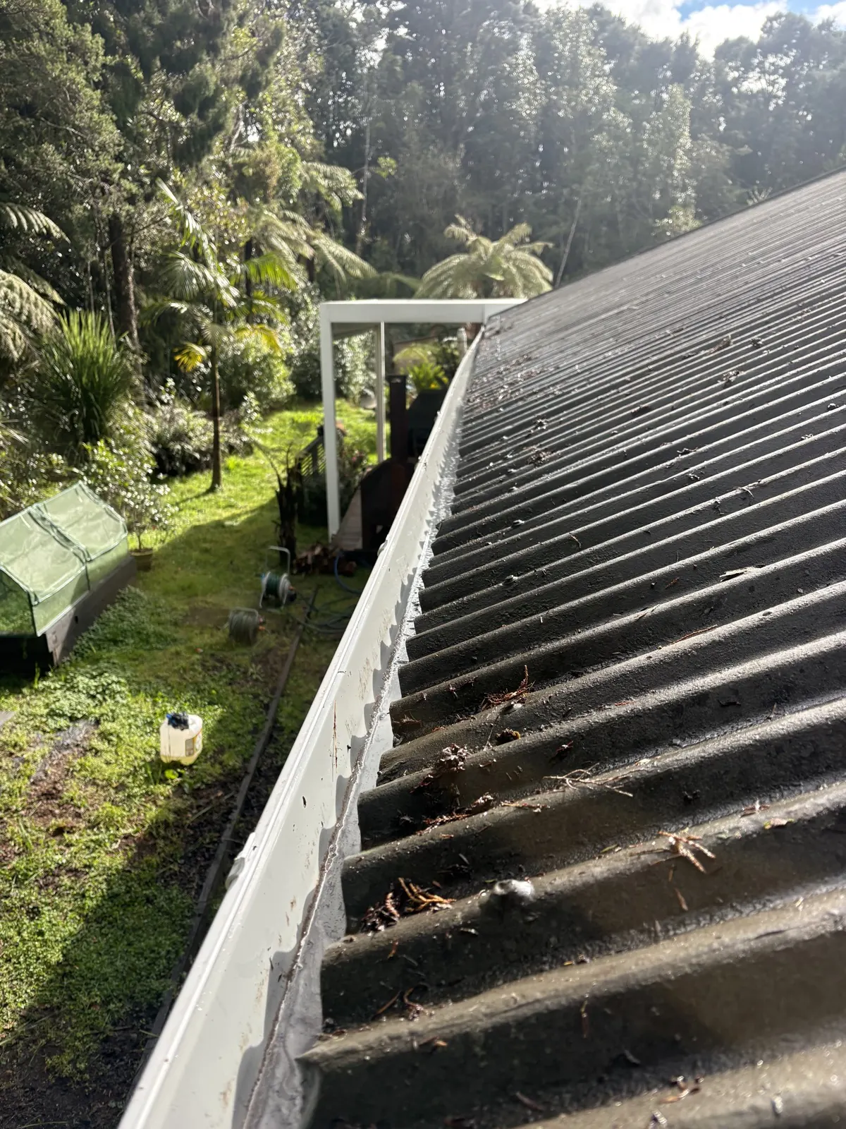 Leaf litter and debris built up in a spouting line along a corrugated roof